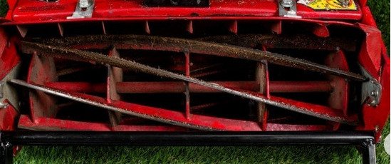 Reel Mower (3)